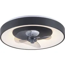 just light. Venika 1 x LED-Board 36 W rund schwarz