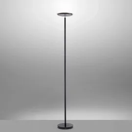 just light. Hans (98191)