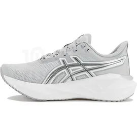 Asics Novablast 5 Herren Grau / Silber 42