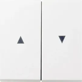 Gira Flächenschalter 0294112