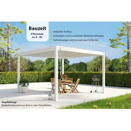 Weide Pergola Deluxe Plus 4 x 4 m Weiß