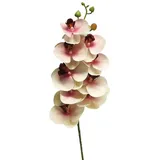 Kunstorchidee Kunstzweig Phalaenopsis Orchidee SONGYA, pink-Creme, 75 cm Orchidee (Orchidee phalaenopsis), artplants rosa