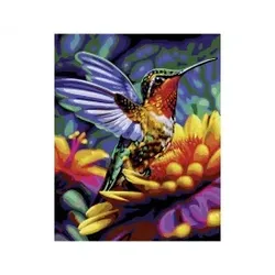 Kolibri Malen nach Zahlen