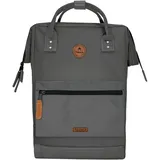 Cabaia Adventurer L Recycled, grau (26 l)