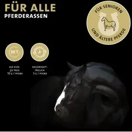 Peticare Senior Vital-Mix Pulver für Pferde 4603