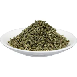 SALUS Zinnkraut Tee Schachtelhalmkraut Salus