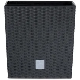 Prosperplast Rato Low 26,2 x 26,2 x 26,6 cm anthrazit