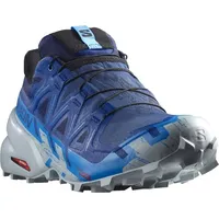 Salomon Speedcross 6 Gore-Tex Herren blue print/ibiza blue/quarry 42