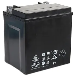Exide AGM12-31 30 Ah 430 A