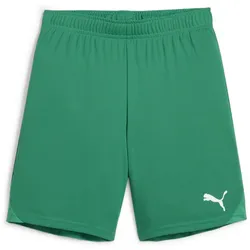 PUMA teamGOAL Shorts Kinder 05 - sport green/puma white 164