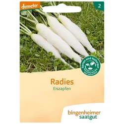 Bingenheimer Saatgut Radies Eiszapfen