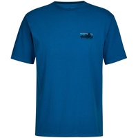 Patagonia Herren 73 Skyline Organic T-Shirt - blau