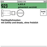 Reyher Flachkopfschraube DIN 923 Schlitz/Ansatz M8x6x11,0 4.8/5.8 galv.verz. 100St.