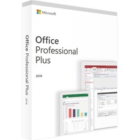 Microsoft Office Professional Plus 2019 ESD ML Win