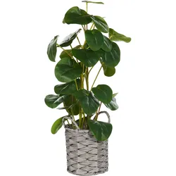Kunstpflanze im Blumentopf 55 cm KIBETI