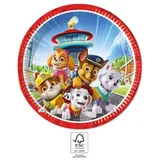 Procos Paw Patrol Pappteller