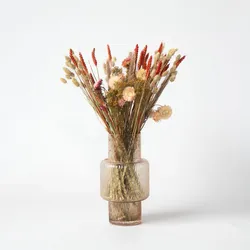 Plant in a Box - Trockenblumen 'Blooms Magic of Nature' - Natürlich getrocknete Blumen Strauß
