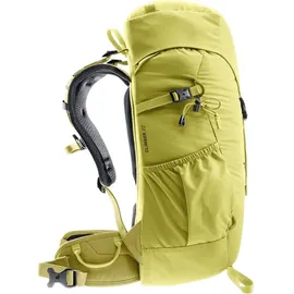 Deuter Climber 22 l sprout/linden