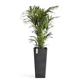 Ecopots Rotterdam High 32 x 32 x 70 cm Dunkelgrau