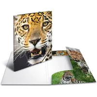 Herma Sammelmappe Tiere A3 leopard