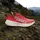 adidas Performance Halbschuhe rot - Pure Ruby / Grey One / Lucid Red - 43 1/3