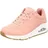 Rosa 39,5