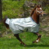 Bucas Power Turnout Light Big Neck Regendecke silver, 155