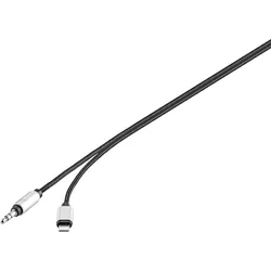 Renkforce RF-3432028 Apple Lightning / Klinke Audio Anschlusskabel [1x Apple Lightning-Stecker - 1x