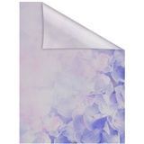 Lichtblick Fensterfolie Hortensie - Pastell lila B/L: ca. 100x130 cm (B x L)