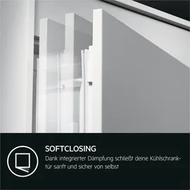 AEG Serie 6000 TK6DS181DC Einbaukühlschrank (310 l, 1780 mm hoch)
