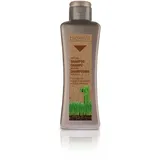 Salerm Cosmetics Biokera Argan Shampoo 300 ml