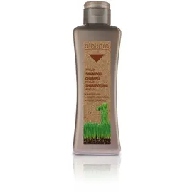Salerm Cosmetics Biokera Argan Shampoo 300 ml