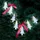 goobay LED Lichterkette 10er Tannenbaum 1 m Transparent Warmweiß