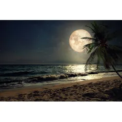 Fototapete PAPERMOON "STRAND-NATUR PALMEN MEER DÜNEN MOND PALME LANDSCHAFT", bunt, B:3,50m L:2,60m, Vlies, Tapeten