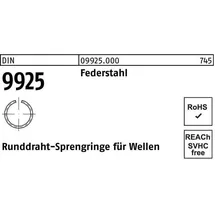 F. REYHER Nchfg. GmbH & Co. KG DIN 9925 Sprengring Federstahl-Draht 30