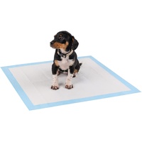 lionto Welpenunterlage Trainingspads Hygieneunterlage für Hunde auslaufsicher 6-lagig, 60x60 cm, 50 STK.
