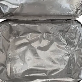 Grafner Kühltasche 15L, 2 Fächer Schultergurt Tragegriff, stabiles 900D Oxford, PEVA-Material: Wasserdicht abwaschbar beste Isolierung, Picknick ...