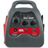 APA Bully Smart Power Pack 12 V Powerbank