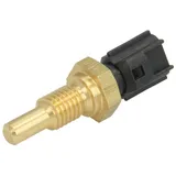 FAE Sensor, Zylinderkopftemperatur