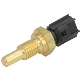 FAE Sensor, Zylinderkopftemperatur