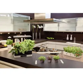 LEDVANCE - LED dimmbare Innenpflanzenlampe GARDEN KIT LED/24W/230V - schwarz