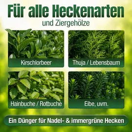 düngemeister Heckendünger für grüne Hecken 5 kg