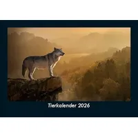 Vero Kalender Tierkalender 2026 Fotokalender DIN A5