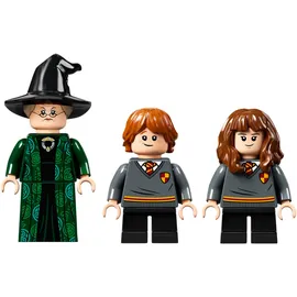 LEGO Harry Potter Hogwarts Moment: Verwandlungsunterricht 76382
