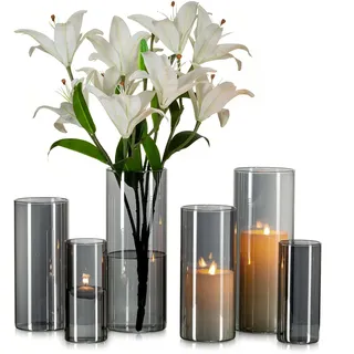 Glasseam Grau Glasvase Zylinder Vase Rund: 6er Moderne Glasvasen Set für Wohnzimmer Tischdeko - Anthrazit Große Vasen Glas Tulpen Rose Zylindervasen Windlicht für Stumpenkerzen (15/20/25cm)
