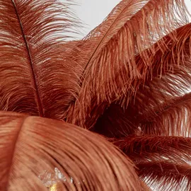 Kare Feather Palm 54549 Braun