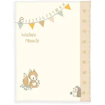 Baby Best Babydecke, Baby Best, mit liebevollem Motiv bunt