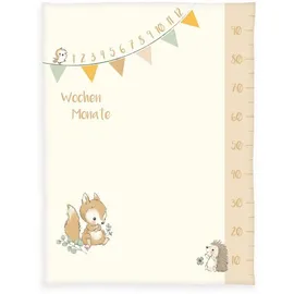 Baby Best Babydecke, Baby Best, mit liebevollem Motiv bunt
