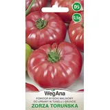 wegana Tomate Zorza Toruńska 0,5g GROSSE FRÜCHTE Tomatensamen - WegAna
