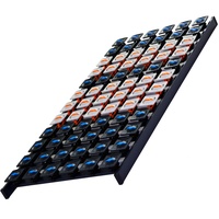 DaMi Tellerrost Dream 140 x 200 cm - 5 Zonen Lattenrost mit 108 Tellermodulen & Individueller Härteverstellung